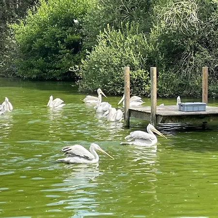 Touraco, Clim, Balneo, Terrasse - Parc Des Oiseaux 3*